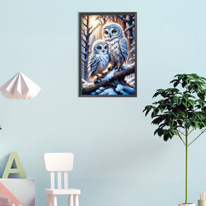 Owl-Full Round Diamond Painting-30x45cm