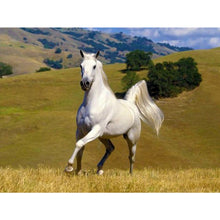 Load image into Gallery viewer, Horse-Full Round Diamond Painting-40x30cm
