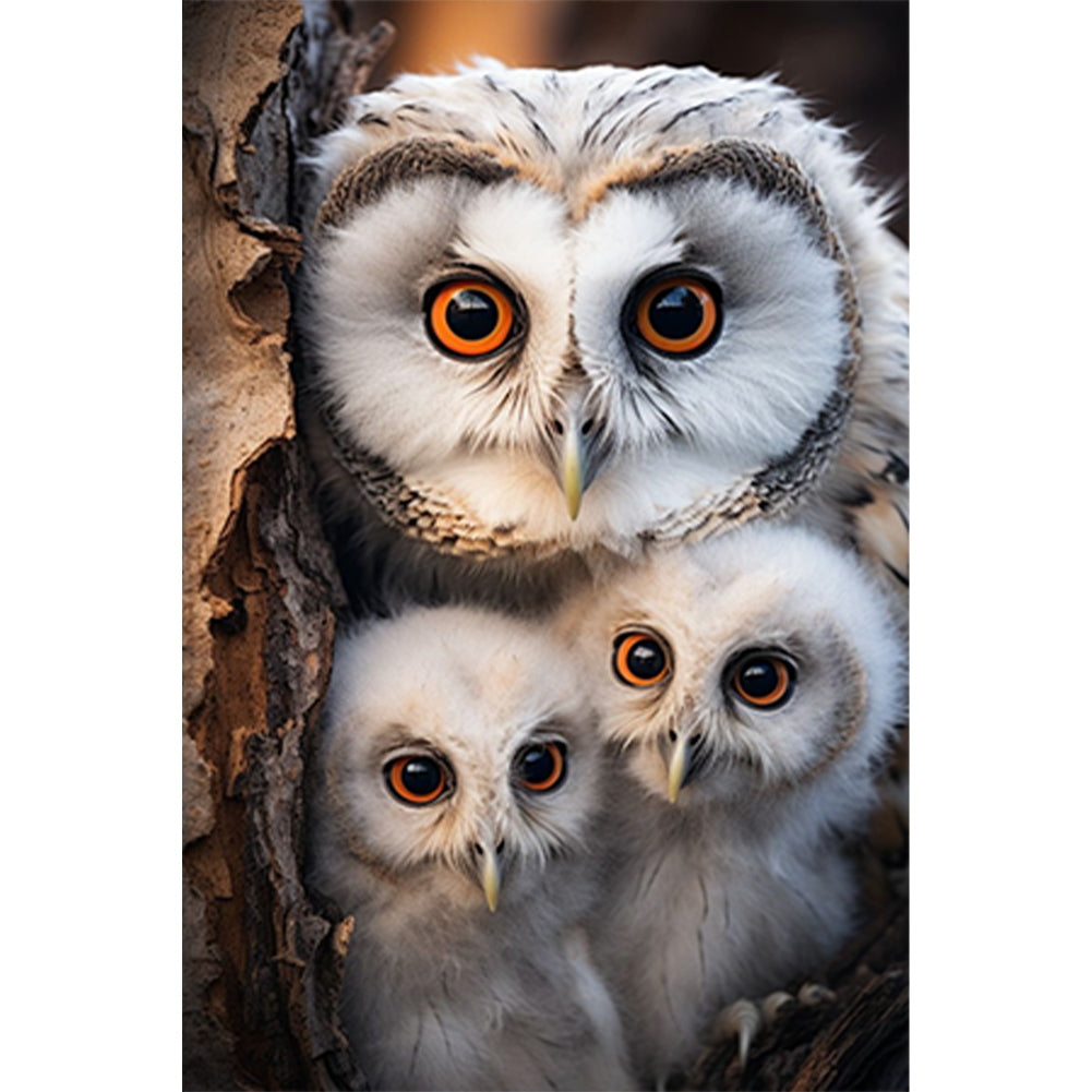 Owl-Full Round Diamond Painting-30x45cm