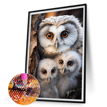 Load image into Gallery viewer, Owl-Full Round Diamond Painting-30x45cm
