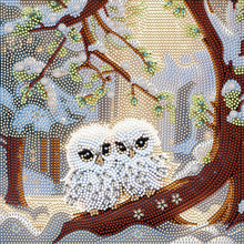 Load image into Gallery viewer, Animal-Partial Special Diamond Painting-30x30cm

