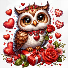 Load image into Gallery viewer, Owl-Full Round Diamond Painting-30x30cm
