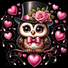 Load image into Gallery viewer, Owl-Full Round Diamond Painting-30x30cm
