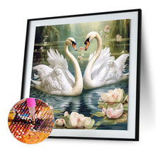 Load image into Gallery viewer, Swan-Full Round Diamond Painting-30x30cm

