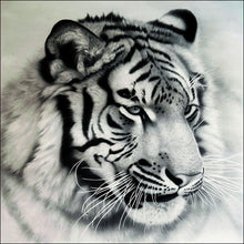 Load image into Gallery viewer, Tiger - Full Drill Diamond Painting
