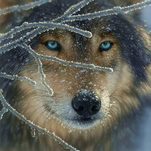 Load image into Gallery viewer, Wolf - Full Drill Diamond Painting
