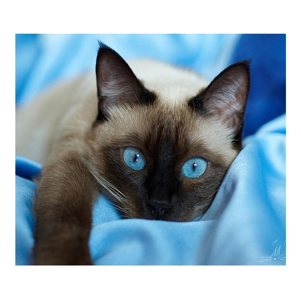 Blue Eye Cat - Full Drill Diamond Painting
