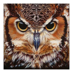 Owl - Full Drill Diamond Painting