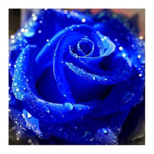 Load image into Gallery viewer, Blue Rose - Full Drill Diamond Painting
