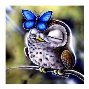 Owl and butterfly - Full Drill Diamond Painting