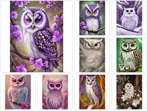 Owl-Full Round Diamond Painting-30x40cm