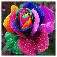 Load image into Gallery viewer, Colorful Flower - Full Drill Diamond Painting

