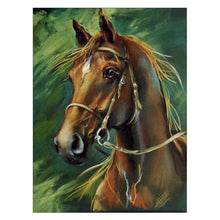 Load image into Gallery viewer, Horse - Full Drill Diamond Painting
