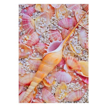 Load image into Gallery viewer, Conch - Full Drill Diamond Painting
