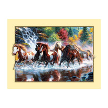 Load image into Gallery viewer, Horse - Full Drill Diamond Painting - 45x35cm
