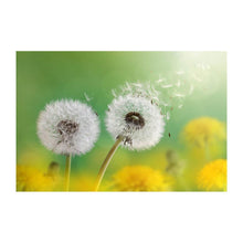 Load image into Gallery viewer, Dandelion - Full Drill Diamond Painting
