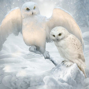 Owls - Full Drill Diamond Painting