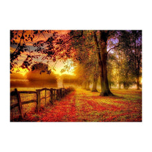 Load image into Gallery viewer, Forest - Full Drill Diamond Painting
