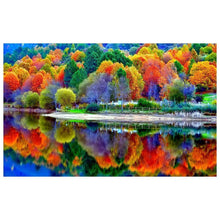 Load image into Gallery viewer, Colorful Forest - Full Drill Diamond Painting
