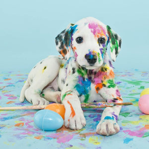Dog - Full Drill Diamond Painting