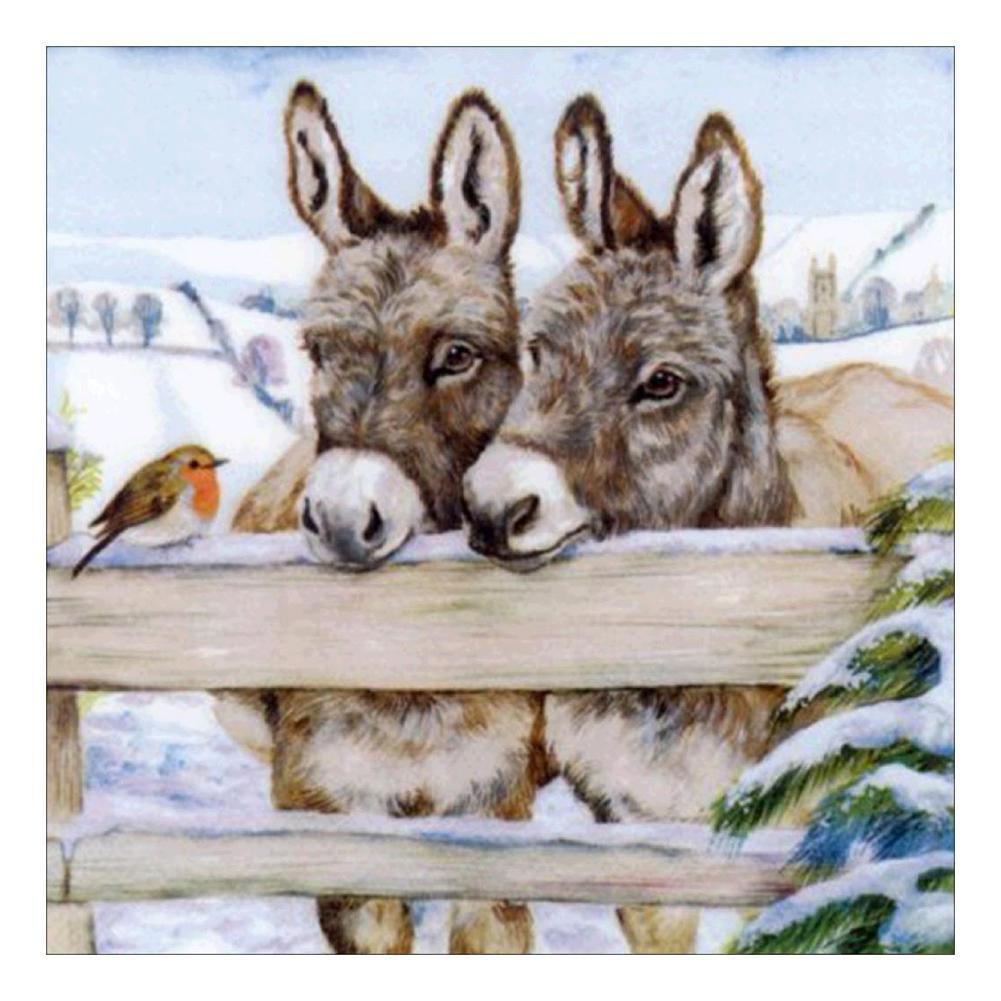 Little Donkey - Full Drill Diamond Painting