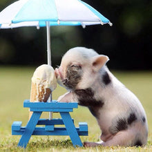 Load image into Gallery viewer, Pig - Full Drill Diamond Painting
