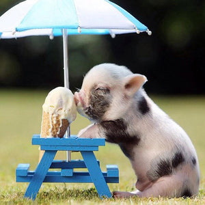 Pig - Full Drill Diamond Painting