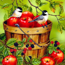Load image into Gallery viewer, Fruits Birds - Full Drill Diamond Painting
