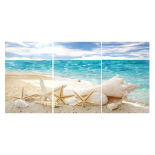 Load image into Gallery viewer, 3-pictures Beach Shell - Full Drill Diamond Painting - 80x40cm

