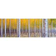 Load image into Gallery viewer, Multi Tree - Full Drill Diamond Painting - 80x30cm
