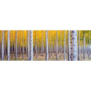 Multi Tree - Full Drill Diamond Painting - 80x30cm