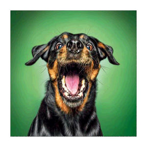 Black Yellow Dog - Full Drill Diamond Painting