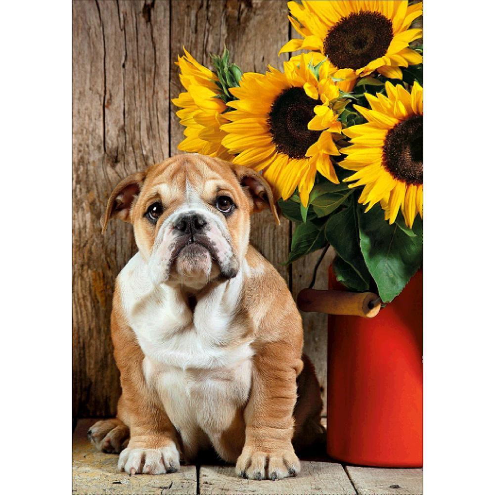 Dog - Full Drill Diamond Painting