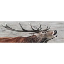 Load image into Gallery viewer, Deer Head - Full Drill Diamond Painting - 80x30cm
