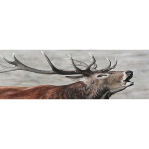 Deer Head - Full Drill Diamond Painting - 80x30cm