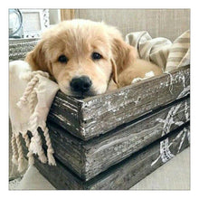 Load image into Gallery viewer, Dog - Full Drill Diamond Painting
