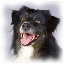 Load image into Gallery viewer, Black Dog - Full Drill Diamond Painting

