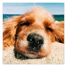 Load image into Gallery viewer, Dog - Full Drill Diamond Painting
