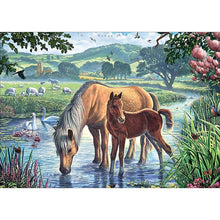 Load image into Gallery viewer, Drinking Horse - Full Drill Diamond Painting

