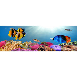 Free Ocean Fish - Full Drill Diamond Painting - 80x30cm
