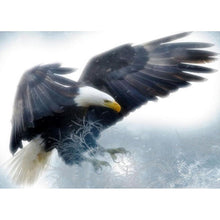 Load image into Gallery viewer, Flying Eagle - Full Drill Diamond Painting
