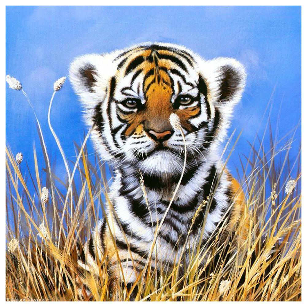 Small Tiger - Full Drill Diamond Painting