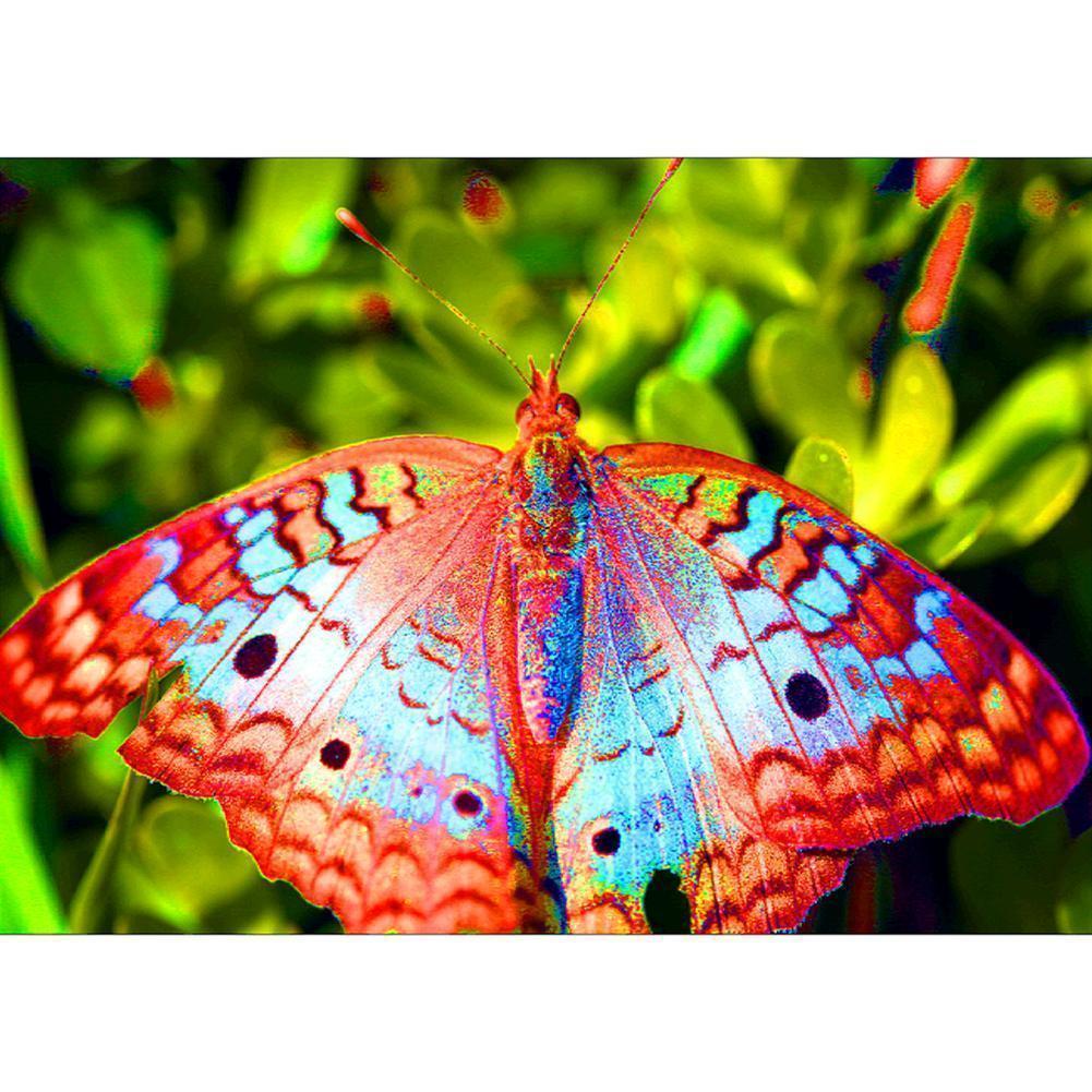 Butterfly - Full Drill Diamond Painting