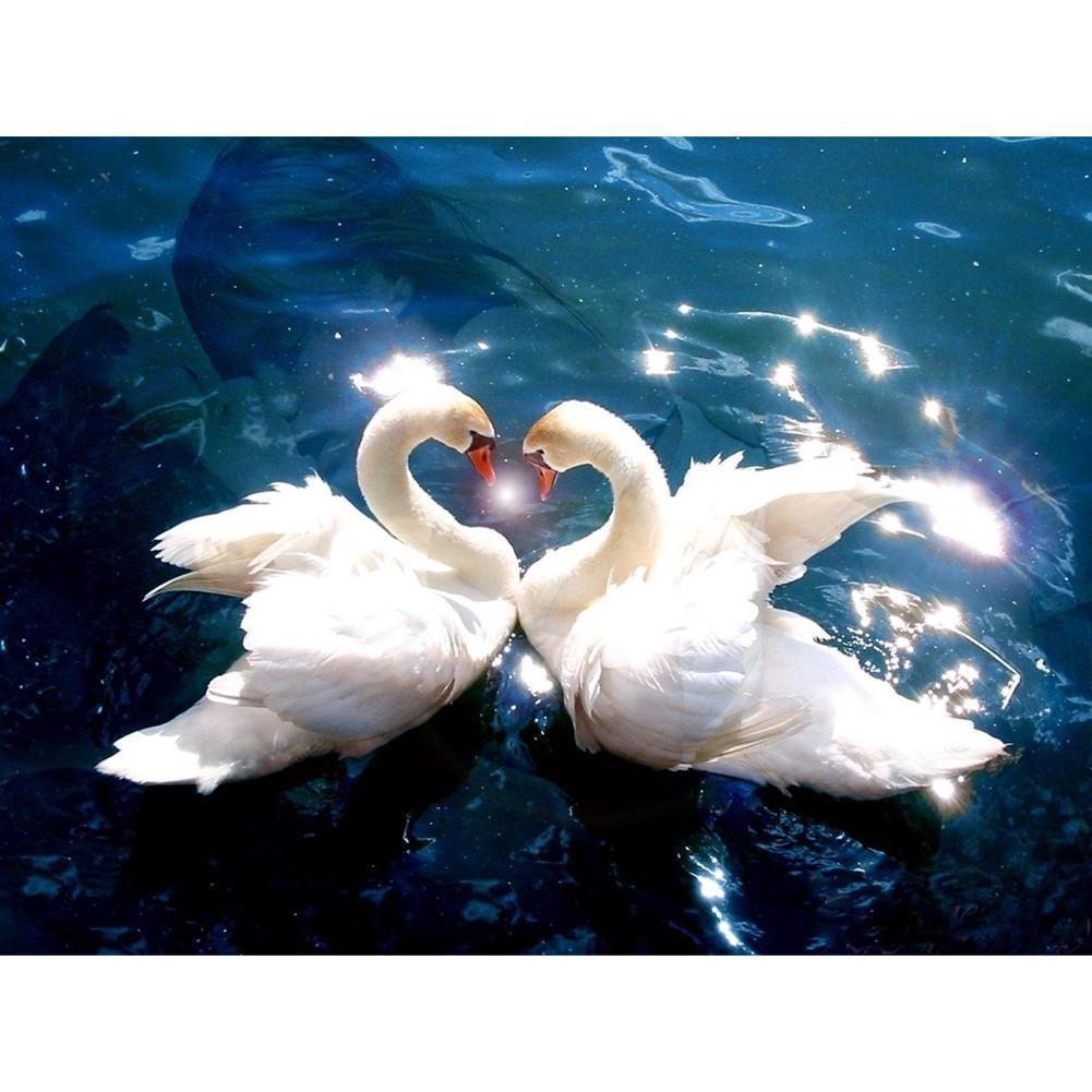 Love Swan - Full Drill Diamond Painting