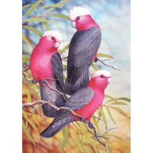Load image into Gallery viewer, Parrots - Full Drill Diamond Painting

