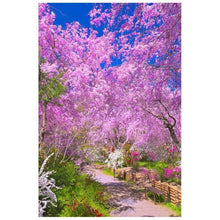 Load image into Gallery viewer, Flowers Tree Path - Full Drill Diamond Painting
