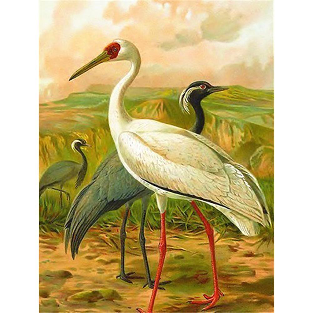 Crane - Full Drill Diamond Painting