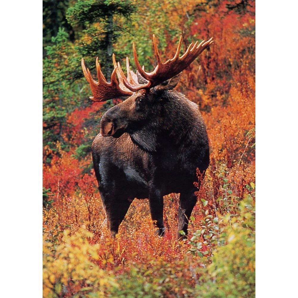 Animal - Full Drill Diamond Painting