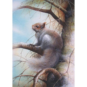 Squirrel - Full Drill Diamond Painting