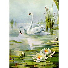 Load image into Gallery viewer, Swan - Full Drill Diamond Painting
